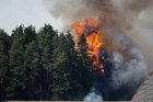 H020_Vollbrand - Reisinger_kl.jpg H020_Vollbrand - Reisinger_kl.jpg